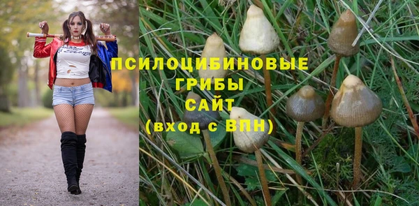 винт Арсеньев