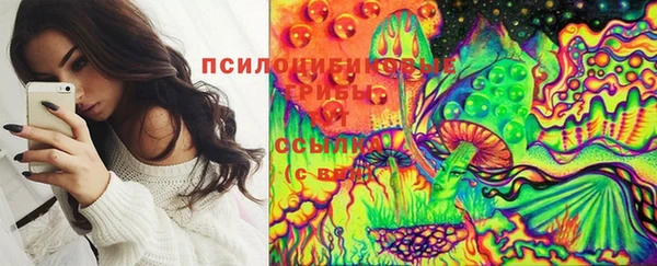 винт Арсеньев