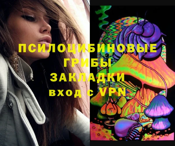 тгк Армянск