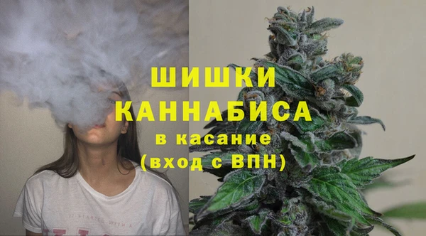винт Арсеньев