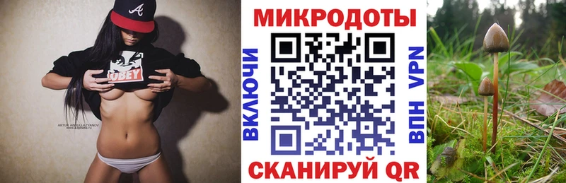 Галлюциногенные грибы мухоморы  Валдай 